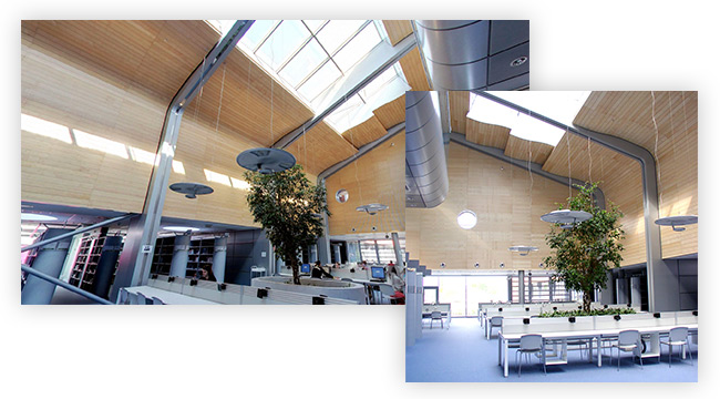 Library